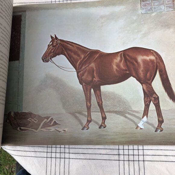 Classic Lines A Gallery of the Great Thoroughbreds 1975 1st Edition Signed - Picture 3 of 7